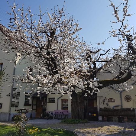 Ferienwohnung Zum-Alten-Kirschbaum Limburg an der Lahn Zewnętrze zdjęcie