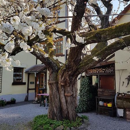Ferienwohnung Zum-Alten-Kirschbaum Limburg an der Lahn Zewnętrze zdjęcie