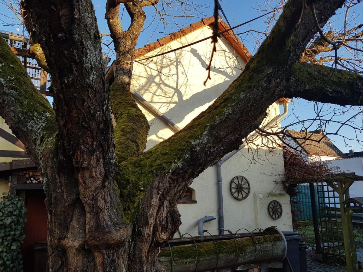 Ferienwohnung Zum-Alten-Kirschbaum Limburg an der Lahn Zewnętrze zdjęcie