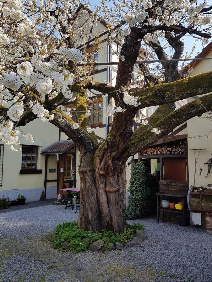 Ferienwohnung Zum-Alten-Kirschbaum Limburg an der Lahn Zewnętrze zdjęcie