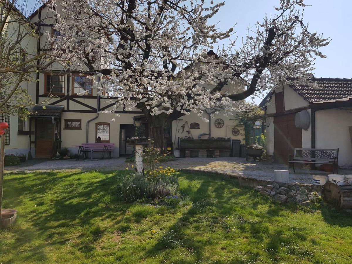 Ferienwohnung Zum-Alten-Kirschbaum Limburg an der Lahn Zewnętrze zdjęcie